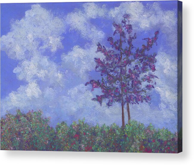 Corkscrew Audubon Sanctuary Acrylic Print featuring the pastel Here I stand by Anne Katzeff