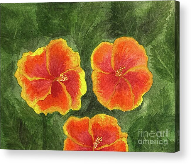 Hibiscus Acrylic Print featuring the painting Hibiscus Three by Lisa Neuman
