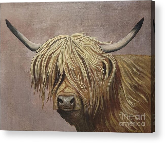 Cows Acrylic Print featuring the painting Highlander by Jimmy Chuck Smith