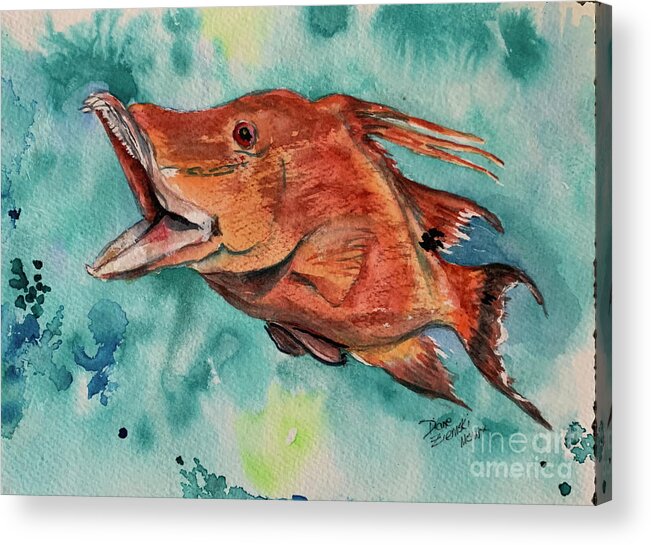 Fish Acrylic Print featuring the painting Hog fish by Diane Ziemski