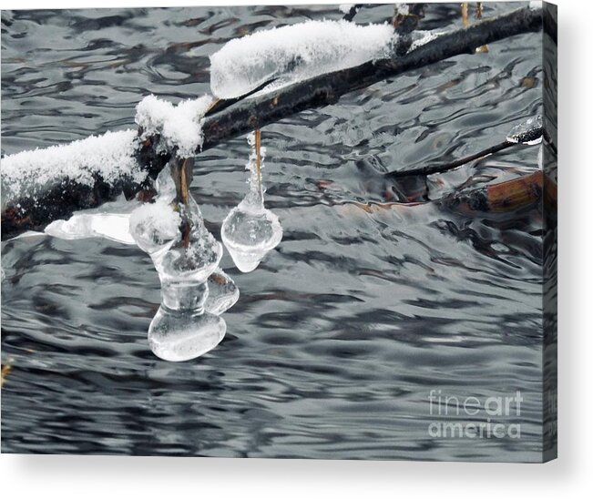 Ice Acrylic Print featuring the photograph Ice Bells by Nicola Finch