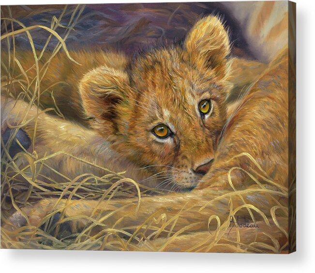 Lion Acrylic Print featuring the painting Innocent Eyes by Lucie Bilodeau