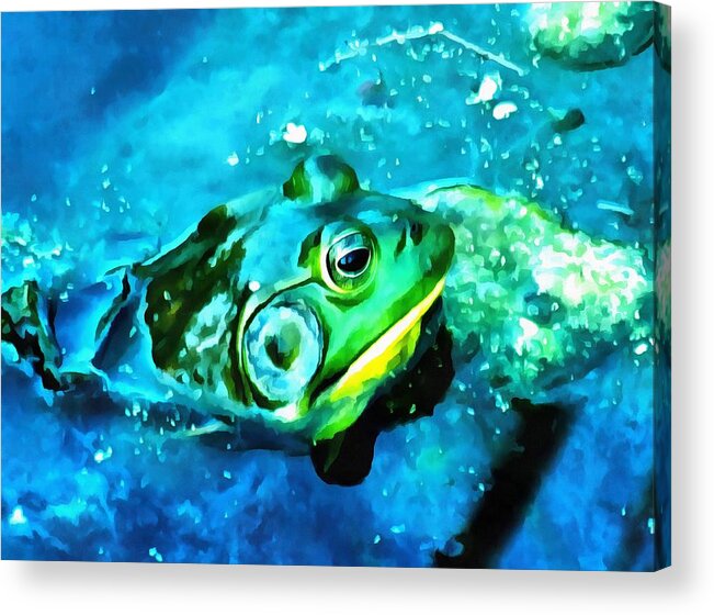 Frog Acrylic Print featuring the mixed media King of the Pond by Christopher Reed