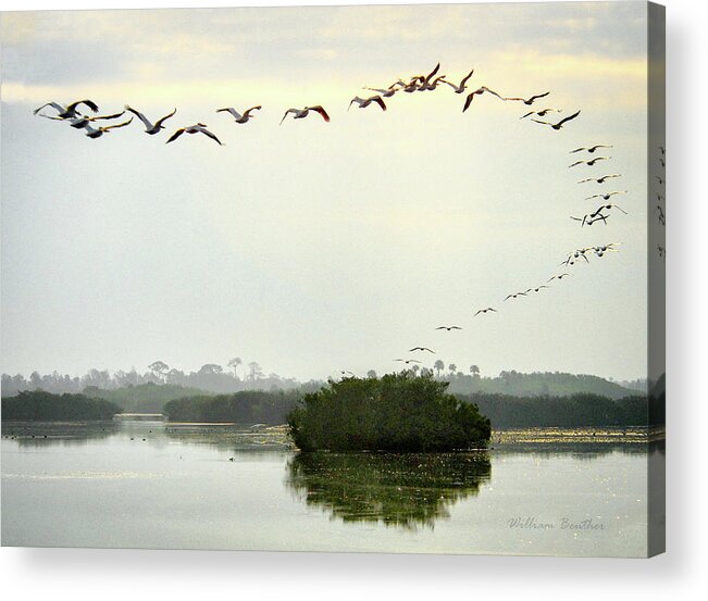 Florida Acrylic Print featuring the photograph Landing Pattern by William Beuther