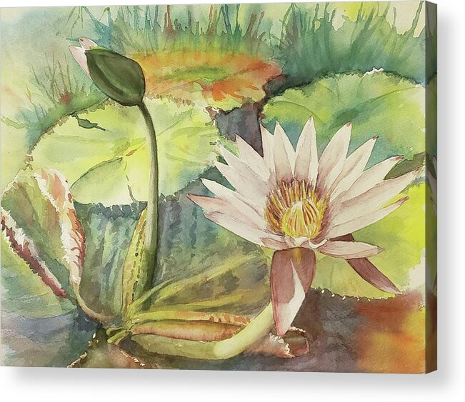 Lilly Pads Acrylic Print featuring the painting Lotus Flower by Martha Lancaster