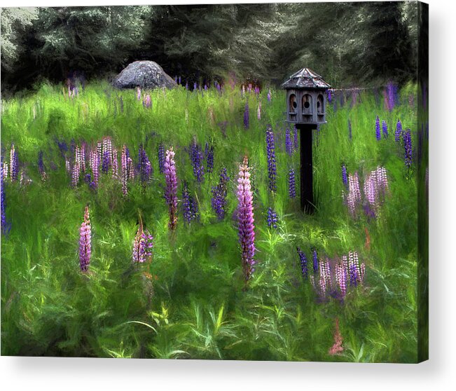 Wind Acrylic Print featuring the photograph Ms Rumphius Symphony No 1 by Wayne King