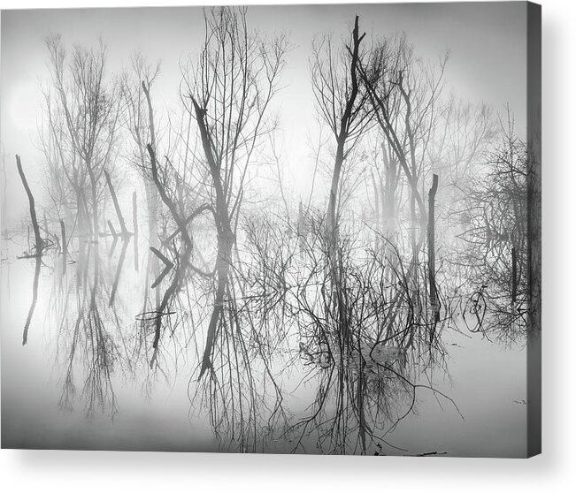 Abstract Acrylic Print featuring the photograph Mystical Lake In Black And White by Jordan Hill