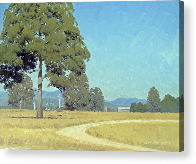 Australian Landscape Art Acrylic Print featuring the painting North of Albury by Steven Heyen