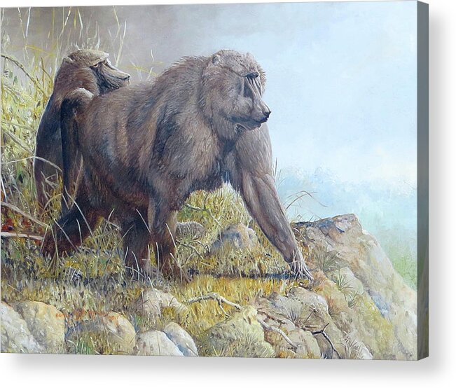 Olive Baboons Acrylic Print featuring the painting Olive Baboons by Barry Kent MacKay