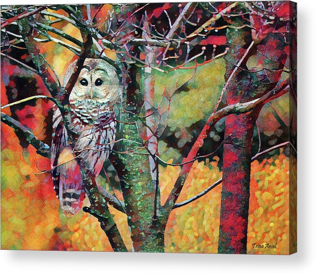 Owls Acrylic Print featuring the photograph Painted Owl by Trina Ansel
