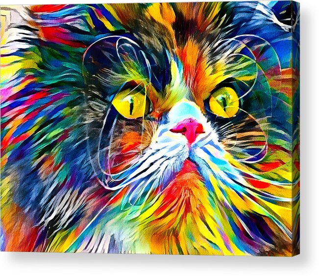 Persian Cat Acrylic Print featuring the digital art Persian cat with long whiskers close-up - colorful zebra pattern painting by Nicko Prints