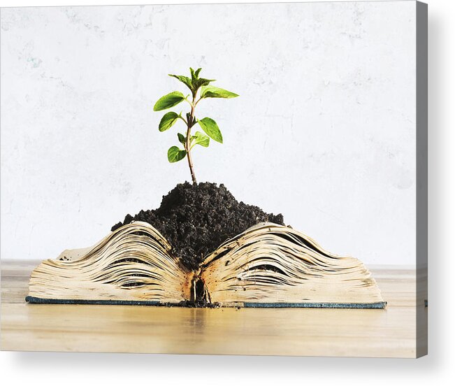 Environmental Conservation Acrylic Print featuring the photograph Plant growing out of open book by Dimitri Otis