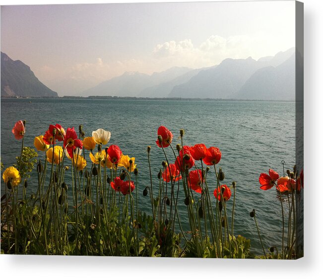 Poppies Acrylic Print featuring the photograph poppies on lake leman Switzerland by Joelle Philibert