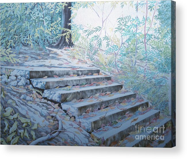  Prospect Park Stairway Pencil 1982 Brooklyn Ny Acrylic Print featuring the drawing Prospect Park Stairway Pencil 1982 by William Hart McNichols