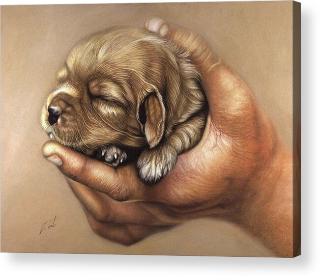 Adorable Puppy Handheld Newborn Love Protection Acrylic Print featuring the pastel Puppy In Hand by June Pauline Zent