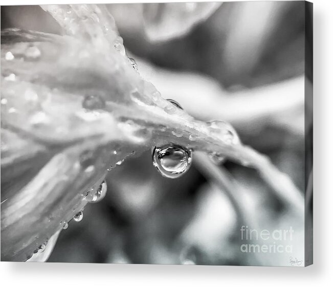 Macro Acrylic Print featuring the photograph Rain Drop Reflection 2 by Peggy Franz