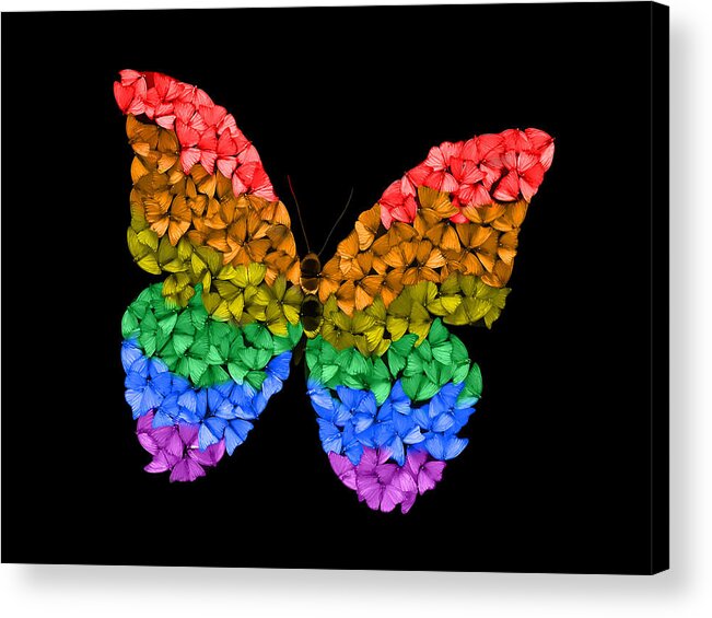  Acrylic Print featuring the digital art Rainbow Butterfly by Scott Fulton