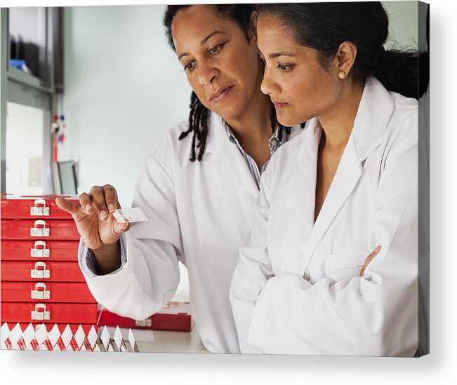 Mid Adult Acrylic Print featuring the photograph Researchers comparing slides in hematology lab by Ron Levine