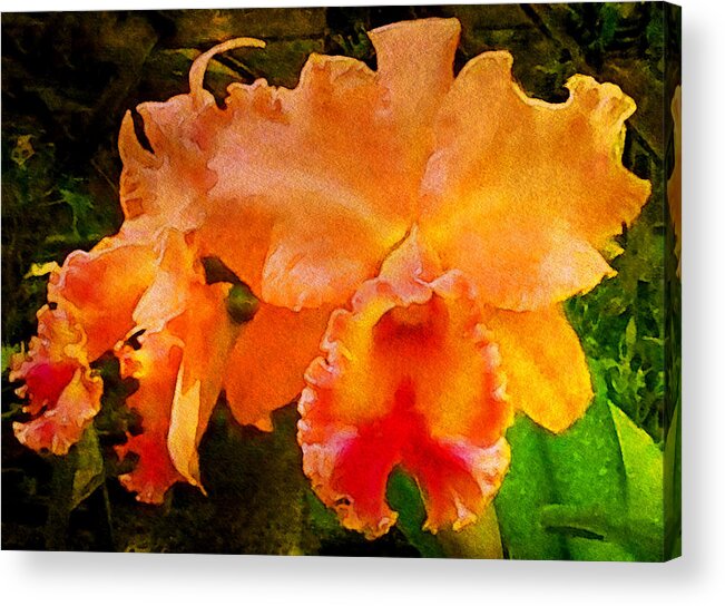 Serendipity Orchid Flower Acrylic Print featuring the mixed media Serendipity Orchid by Susan Maxwell Schmidt