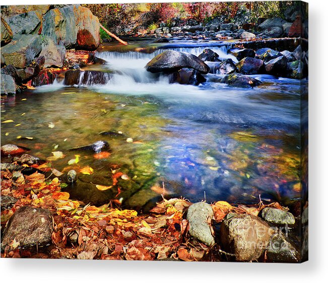 Creek Acrylic Print featuring the photograph Signs of Fall by Thomas Nay