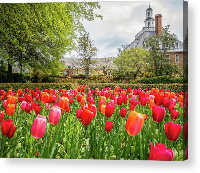 Colonial Williamsburg Acrylic Print featuring the photograph Spring has Sprung at the Palace by Rachel Morrison