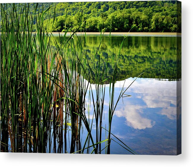 Cloud Reflections Acrylic Print featuring the photograph Still Waters by Susie Loechler