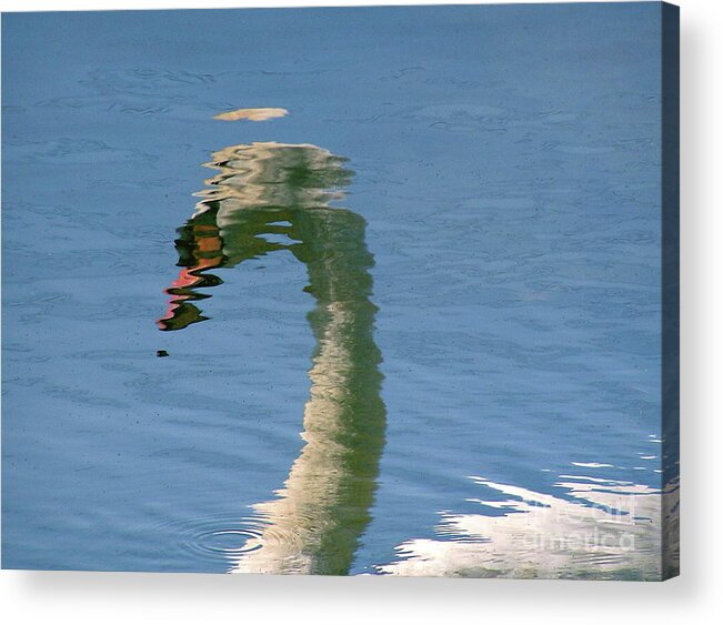 Swan Acrylic Print featuring the photograph Swan Reflection by Mary Kobet