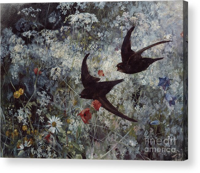 Bruno Liljefors Acrylic Print featuring the painting Swift, 1886 by O Vaering by Bruno Liljefors