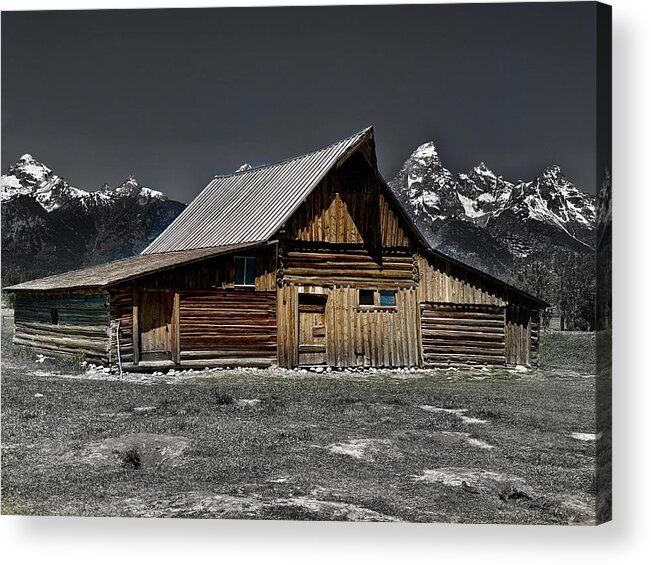 Landscape Acrylic Print featuring the photograph Synergy by Devin Wilson