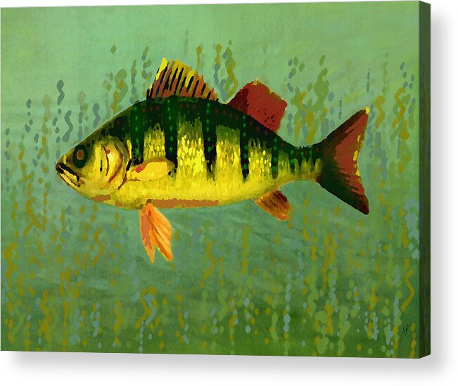 Vintage Acrylic Print featuring the mixed media The Fanciful Limon Barb by Shelli Fitzpatrick