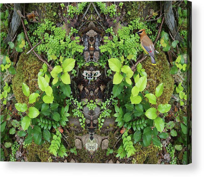 Nature Acrylic Print featuring the photograph The Forest Floorist #1 with Critters by Ben Upham III