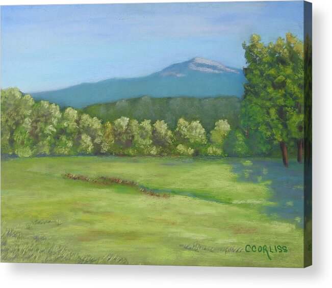 Mountain Acrylic Print featuring the pastel The Mountain That Stands Alone by Carol Corliss