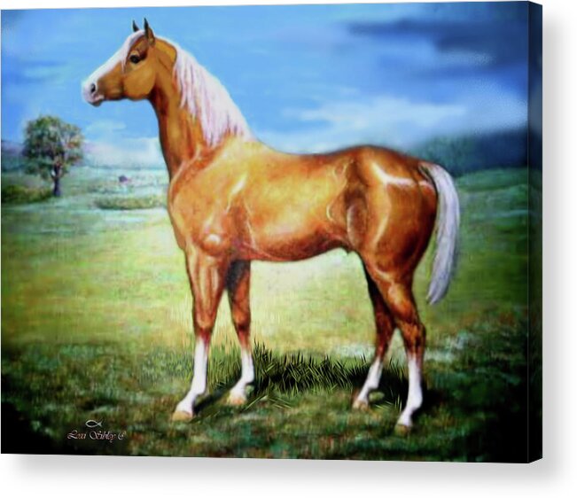 Horse Acrylic Print featuring the digital art The Palomino by Loxi Sibley