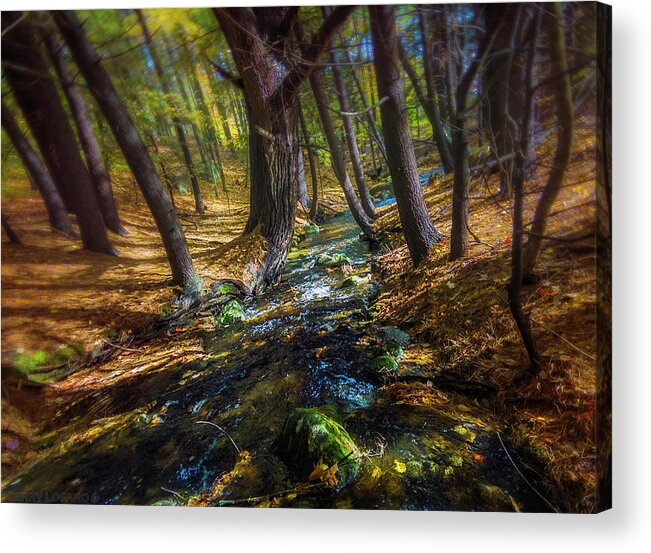 Woods Acrylic Print featuring the photograph The Parrish Woods In Fall by Jerry LoFaro