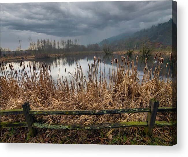 Pond Acrylic Print featuring the photograph The Pond by Jerry Cahill