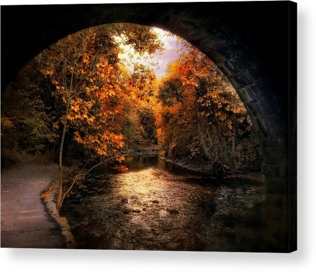 Autumn. Fall Acrylic Print featuring the photograph Tunnel Vision by Jessica Jenney