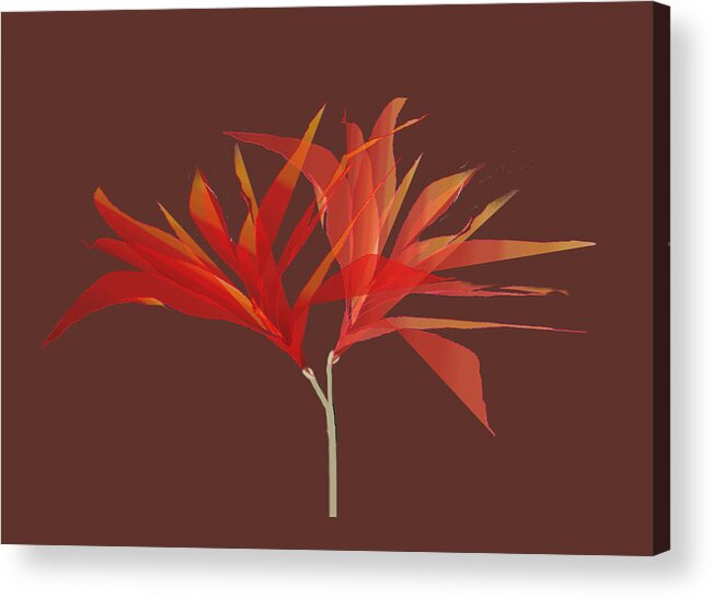 Flowers Acrylic Print featuring the digital art Twin Blossom by Asok Mukhopadhyay