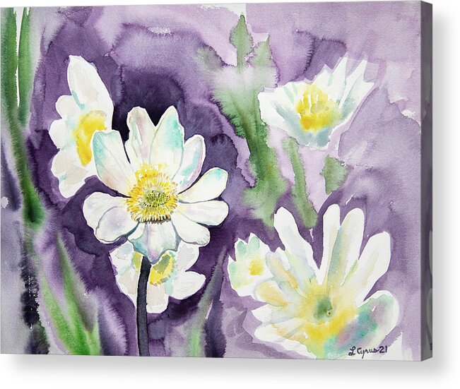 Marsh Marigold Acrylic Print featuring the painting Watercolor - Marsh Marigold Blooms by Cascade Colors