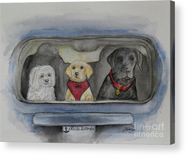 Dog Acrylic Print featuring the painting Who Wants to go for a Ride? by Shirley Dutchkowski