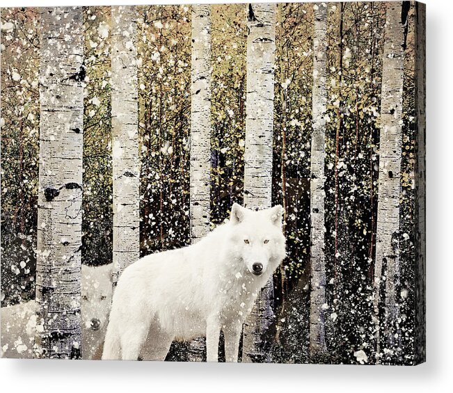 Wolves Acrylic Print featuring the digital art Winter Wolves by Sandra Selle Rodriguez