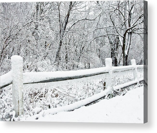Snow Acrylic Print featuring the photograph Winter Wonderland by Rebecca Higgins