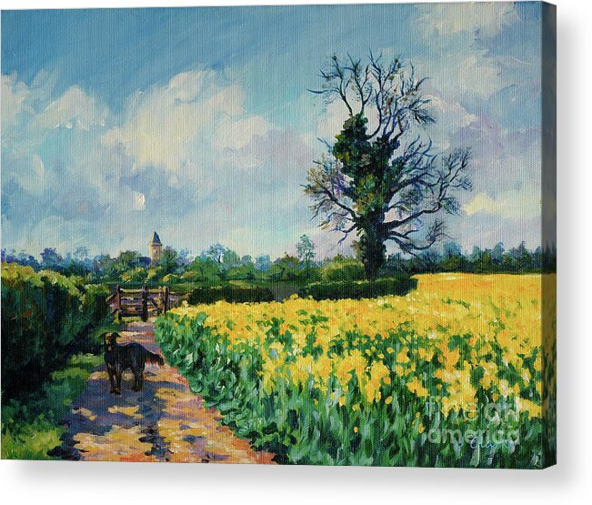 Rapeseed Acrylic Print featuring the painting Yellow Field and Rex by John Clark