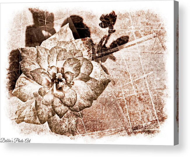 Nature Acrylic Print featuring the photograph Thumbelina Rose - Miniature Rose - Digital Paint II by Debbie Portwood