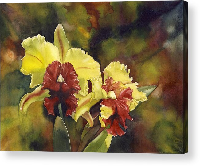 Orchid Acrylic Print featuring the painting yellow and red Cattleya Orchids by Alfred Ng