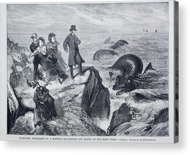 British Acrylic Print featuring the photograph 1871 Kilkee Irish Sea Monster Serpent by Paul D Stewart
