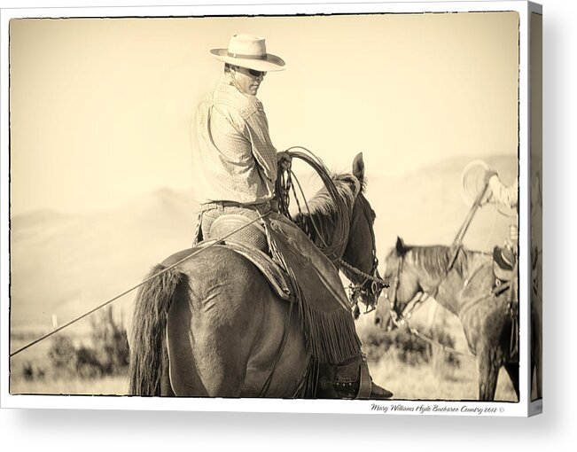  Acrylic Print featuring the photograph 8218 #1 by Mary Williams Hyde