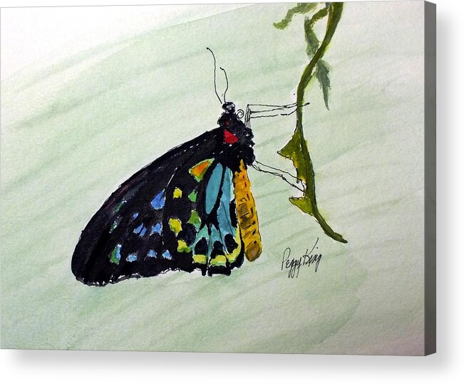 Nature Acrylic Print featuring the painting Cairns Birdwing #1 by Peggy King