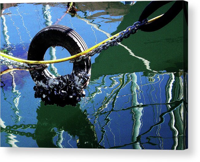 The Acrylic Print featuring the photograph Clams On A Tire #1 by Xueling Zou