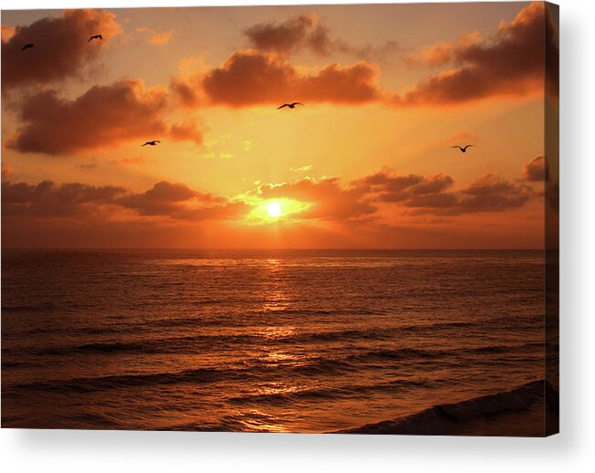 Sunset Acrylic Print featuring the photograph Coming Home #1 by James Knight