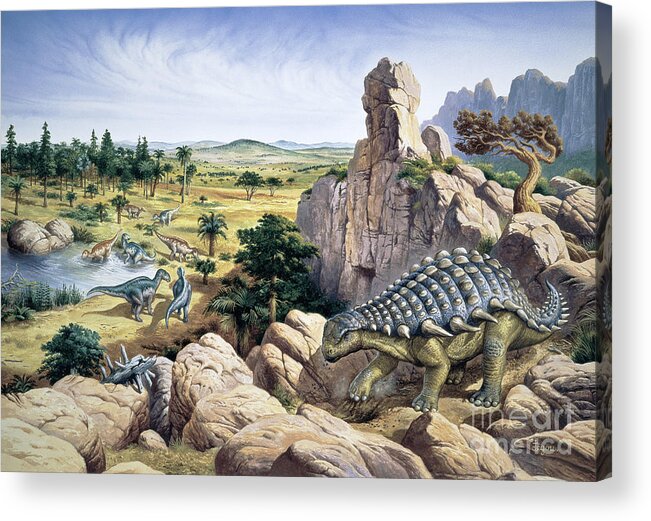 Ankylosaurus Acrylic Print featuring the photograph Dinosaurs #1 by Christian Jegou